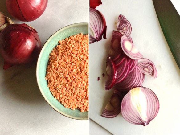LENTIL ONION